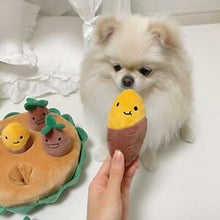Load image into Gallery viewer, Potato Set Snuffle Toy
