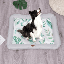 Load image into Gallery viewer, Summer Ice Silk Fabric Bed - San Frenchie
