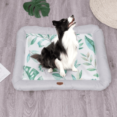 Summer Ice Silk Fabric Bed - San Frenchie
