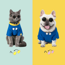 Load image into Gallery viewer, Sunglasses for Small Dogs and Cats - San Frenchie
