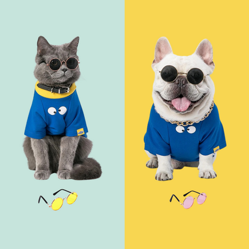 Sunglasses for Small Dogs and Cats - San Frenchie